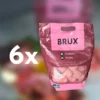 balanced raw dog food